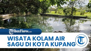 Menikmati Wisata Kolam Air Sagu di Kota Kupang, Salah Satu Tempat Alternatif Liburan bagi Masyarakat