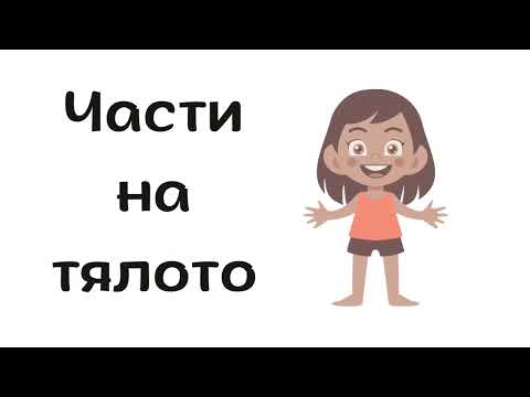 Части на тялото/Parts of the Body in Bulgarian - a Bulgarian vocabulary lesson (A1-A2)