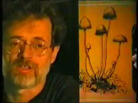 Terence McKenna - Rustlers Valley 1996: part 1
