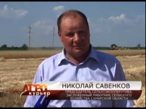Самарские аграрии довольны промежуточными итогами уборочной кампании