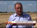 Самарские аграрии довольны промежуточными итогами уборочной кампании