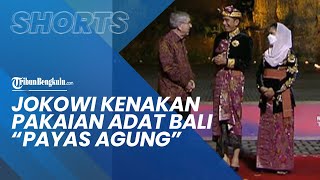 Presiden Jokowi Kenakan Pakaian Adat Bali Payas Agung: 