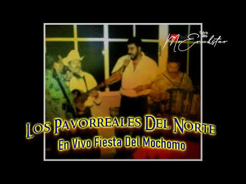 Mi Amigo Alfredo Beltran [El Mochomo] - Los Pavorreales del Norte [En Vivo]