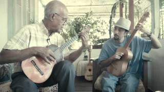 Bee's Melody - Robert Munro & Dominic Thompson