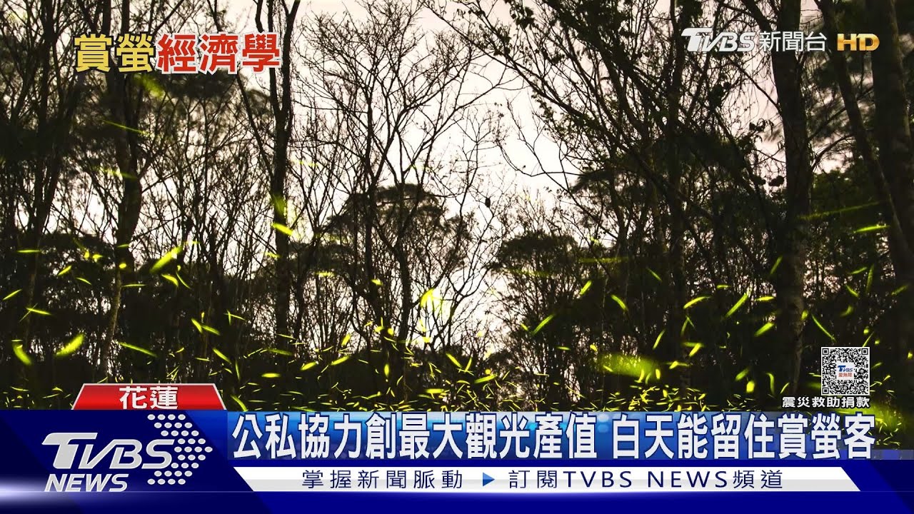 不怕淡季!3、4月螢火蟲大爆發 宜蘭、花蓮創賞螢經濟學