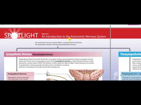 Glossopharyngeal intro 1