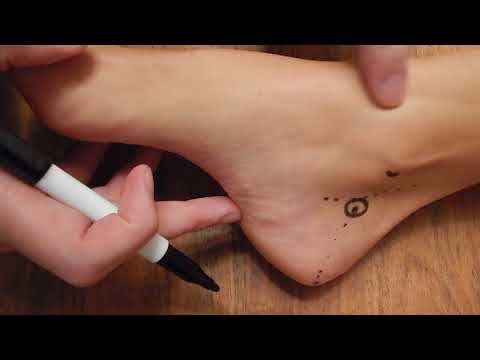 Video - neuro anatomy for ankle block