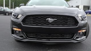 preview picture of video '2015 Mustang - Hands on Review!'