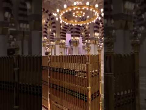 💎Mehfile konain💝🥰 #beautiful#short#travelblog#love #tiktok#shortvideo#live #travel#duet#masjidnabawi