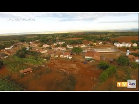 Queimada Nova: Sabores quilombolas, galinheiros e bioconstrução no Rural Produtivo na TVE