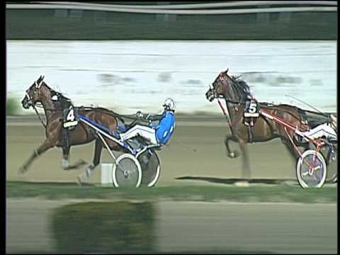 Trotto 25/09/2016 - 8ª corsa