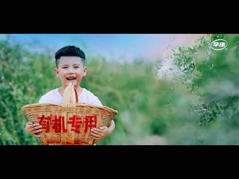 早康的意思是什麼