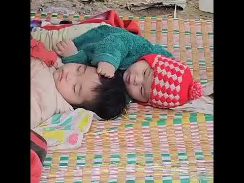 “17-Year-Old Single Mother Cuts Bamboo in the Forest to Build House Walls”