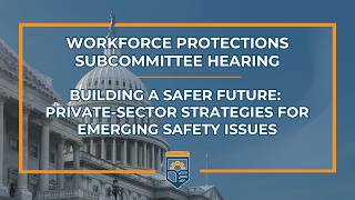 Building a Safer Future: Private-Sector Strategies for Emerging Safety Issues