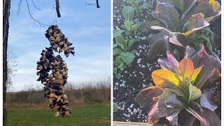Frost Oh No! | Fun Bird Feeder Project For Kids | EverCrest