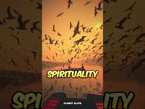 Yamina River: A Glimpse of Nature's Grace 🌊