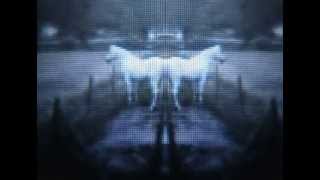 No Age - Impossible Bouquet