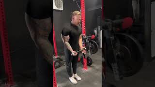 Standing Bicep Curl Setup