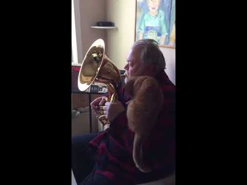 This Cat loves the Tuba