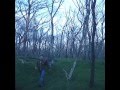 The Woodland Tragedy