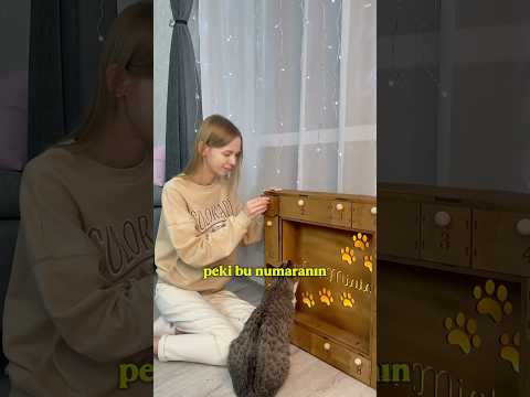 🧸💝 PAMUK’UN DOĞUM GÜNÜ SÜRPRİZ KUTUSU! HER KUTUDA HEDİYE VAR