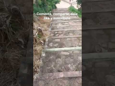 Aqui visitando un nuevo lugar llamado Quirusilla|Santa Cruz|Bolivia #turismo #viajes #parati