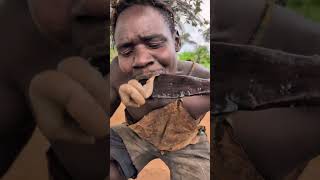 Download lagu #funny#usa🇺🇸#village#foryoupage#cooking#foodlover#food#hadzabetribe#dudukwe mp3