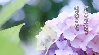 【朗読】紫陽花の蕾【オリジナル短編】