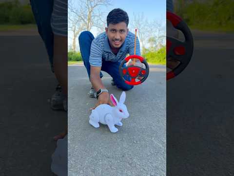 RC Spider Ko Hata k RC Rabbit Hi Hi 😀