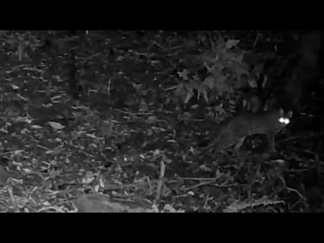 Reclaiming the high ground