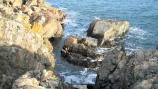 Goin Home For Christmas 