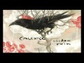 Calexico - Cruel