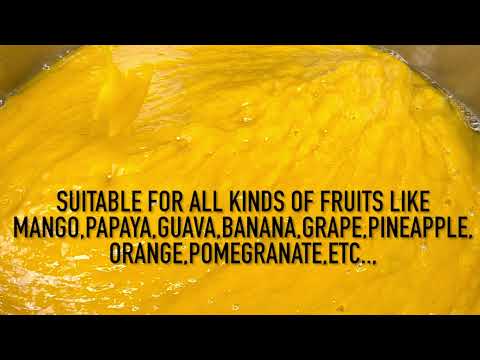 Fruit Pulper Machine