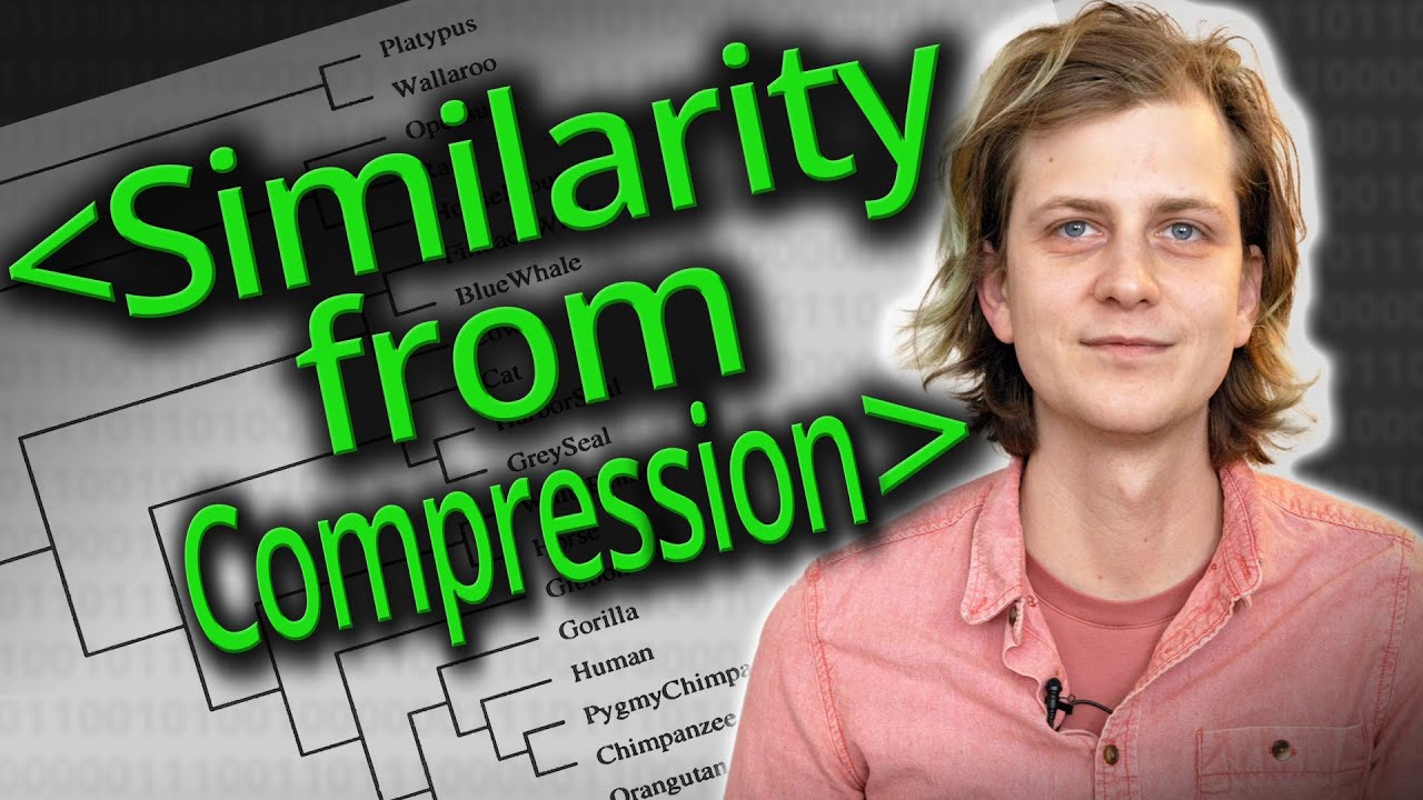 Zip It! - Finding File Similarity Using Compression Utilities - Computerphile