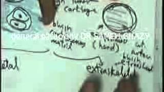 general pathology 32 : DR SAMEH GHAZY benign2