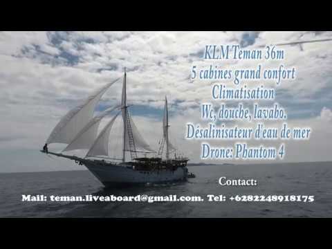 Cruising and Diving in Indonésia with teman Liveaboard