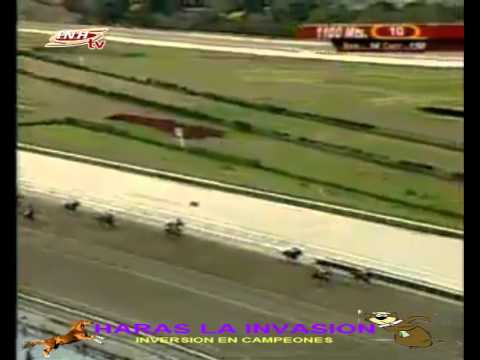 LA RINCONADA 10 CARRERA, DOMINGO 22 DE FEBRERO DEL 2015