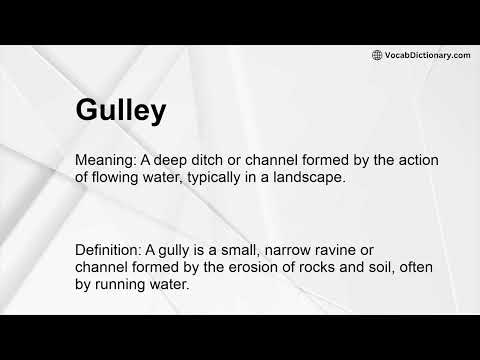 Gulley Meaning