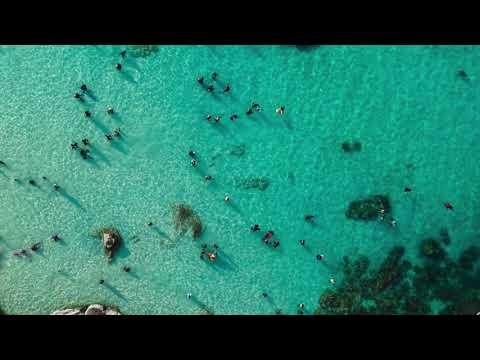 Paax Tulum ft. Monique - Fugitivo (Original Mix)