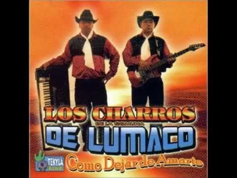 download lagu mp3 mp4 Juntos En La Cama Los Charros De Lumaco, download lagu Juntos En La Cama Los Charros De Lumaco gratis, unduh video klip Download Juntos En La Cama Los Charros De Lumaco Mp3 dan Mp4 Music Gratis