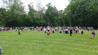 preview picture of video 'Norwegian Constitution Day in Washington DC'