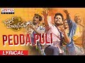Pedda Puli Lyrical Chal Mohan Ranga Movie Songs Nithiin Megha Akash Thaman S