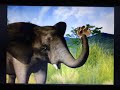 Baby Animals Getting Animal Snacks