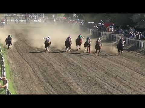 DESCONFIADO  Club Hipico "Riveras Neuquinas" -   Vista Alegre -  Neuquen -  22-01-2023