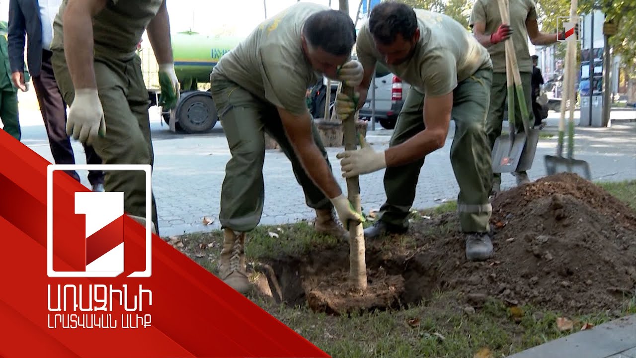 Մայրաքաղաքում շարունակվում են արժեքավոր ծառատեսակների լրացման աշխատանքները
