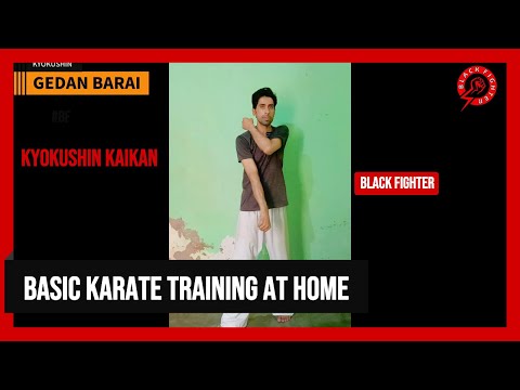 Kyokushin Karate Basics | Punch + Block Training – Seiken, Uraken, Gedan Barai