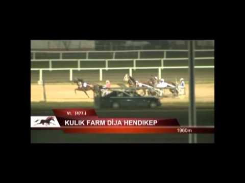 Lósport, ügető: Az elmúlt hétvége ügetőfutamai