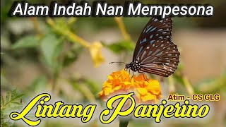 Download lagu Lintang Panjerino  - Langgam campursari mp3