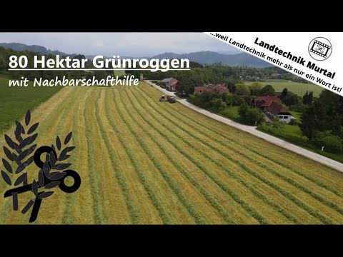 80 Hektar Grünroggen mit Nachbarschaftshilfe - Kärnten 2023 | Landtechnik Murtal
