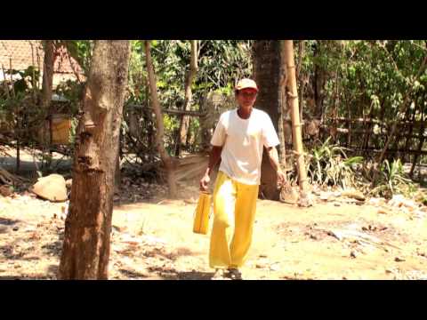 2015 JFF AGM VIDEO REPORT